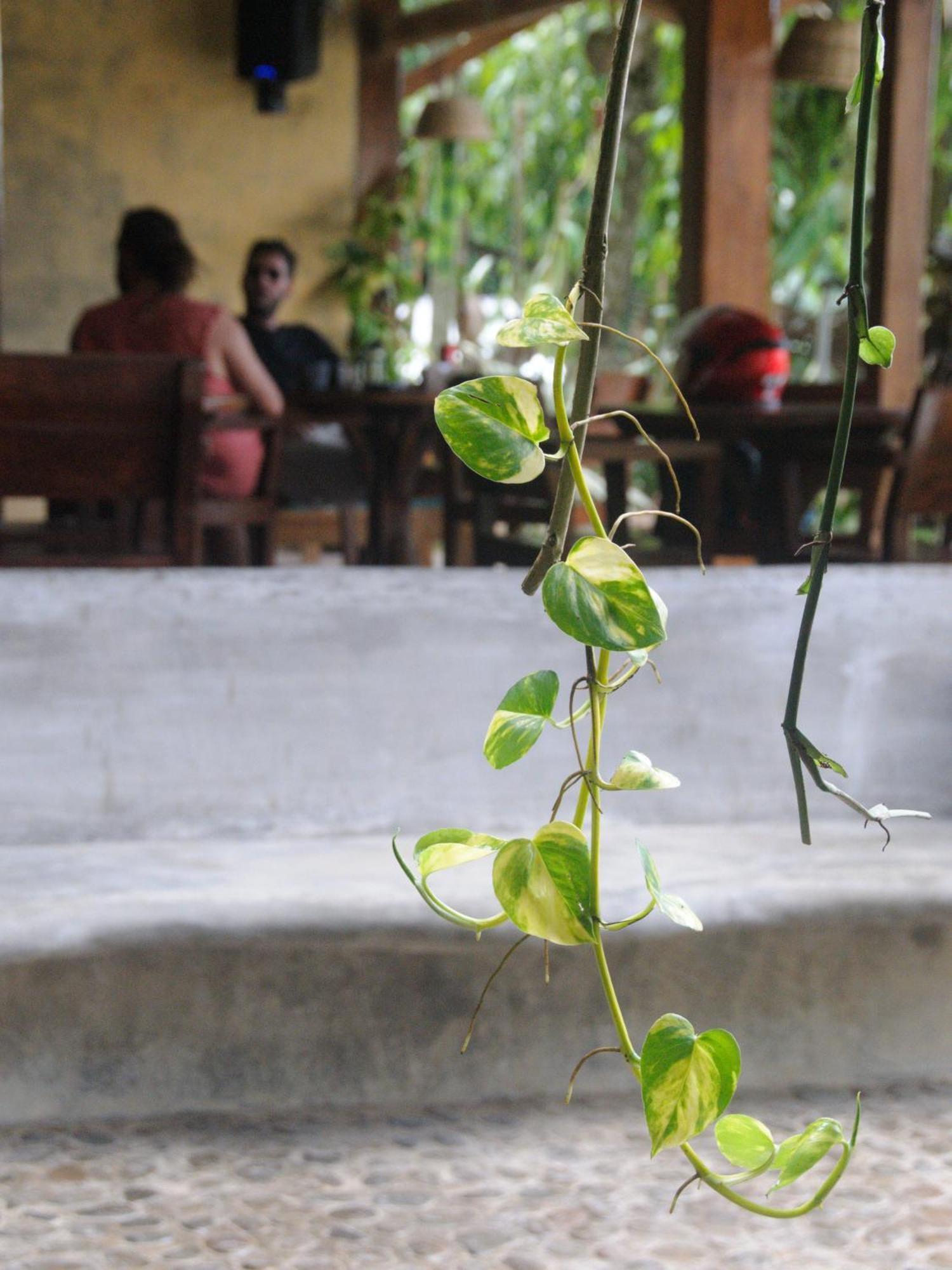 Happiness Boutique Resort El Nido Eksteriør bilde