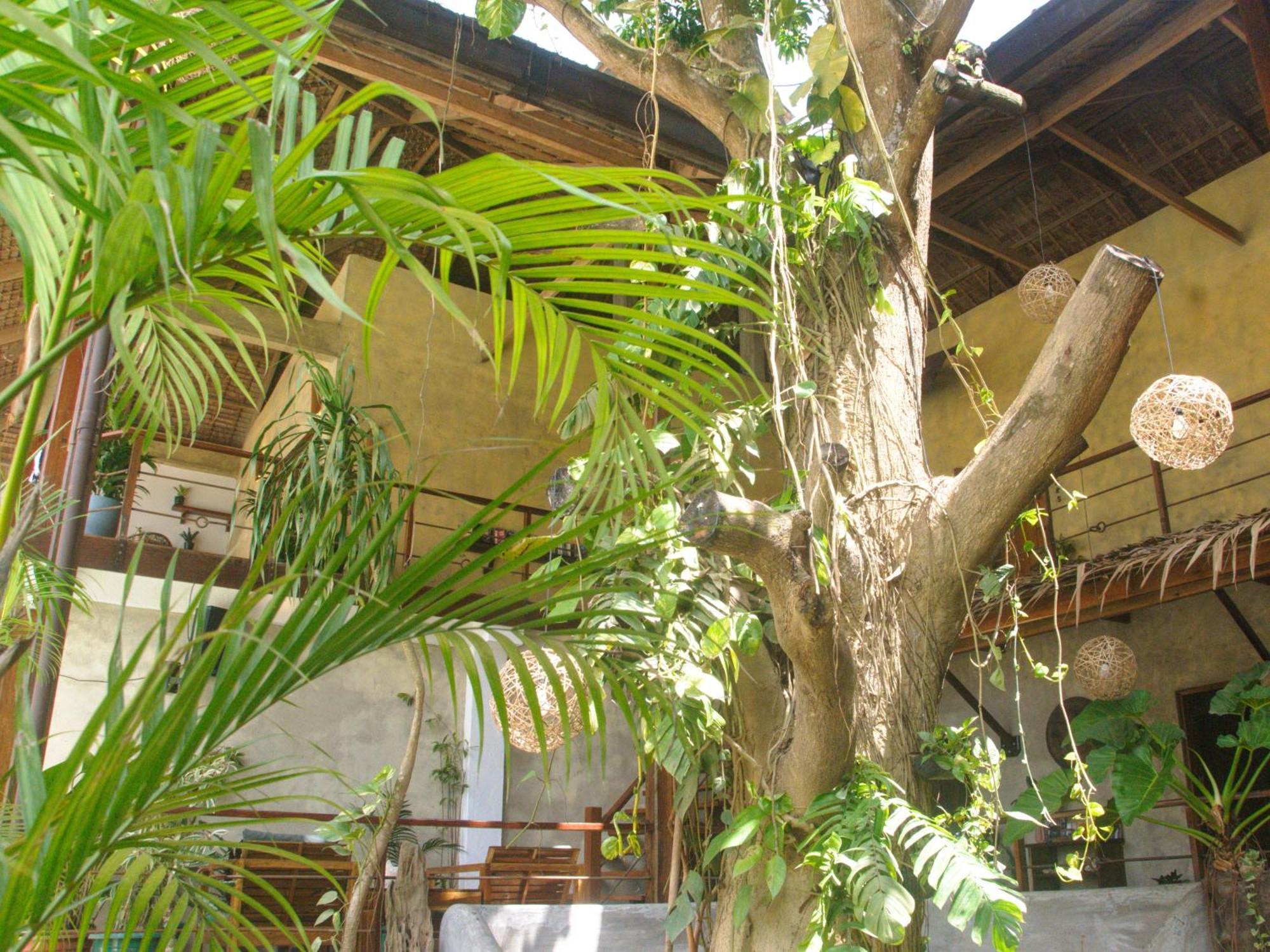 Happiness Boutique Resort El Nido Eksteriør bilde